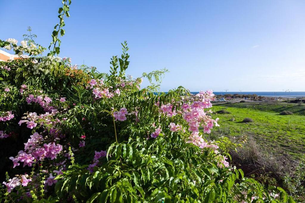 Tejita Beach La Tejita 외부 사진